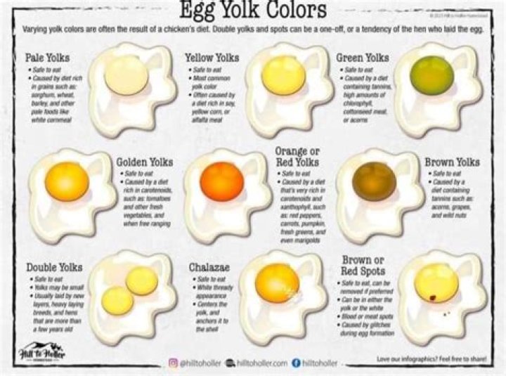 Are darker yolks healthier?