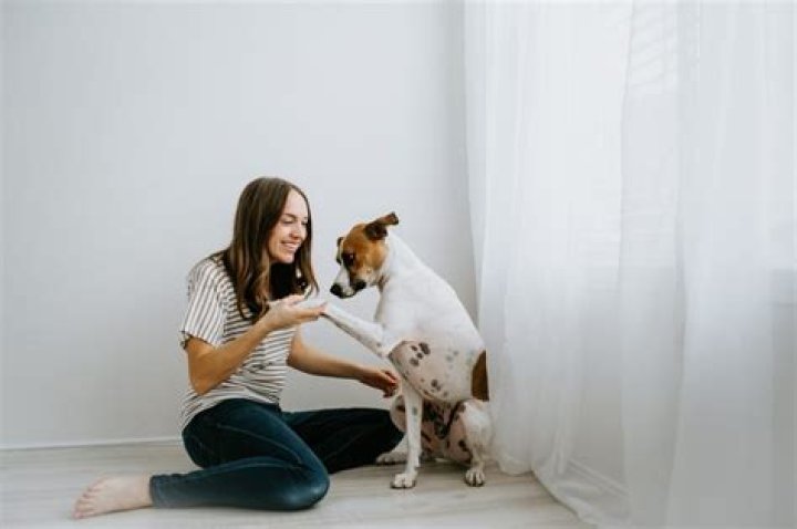 Are female dogs smarter than males?