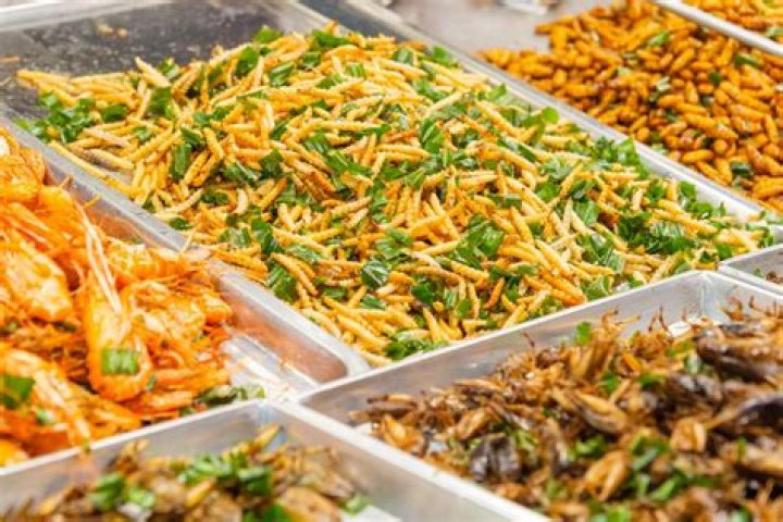 Are maggots edible?