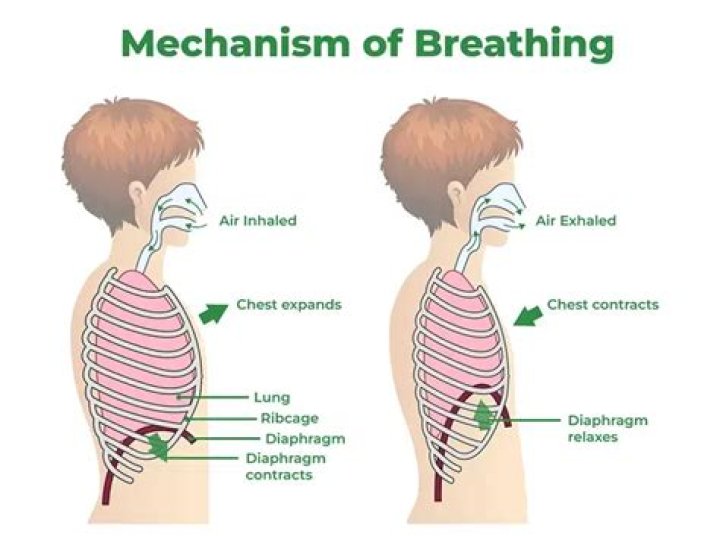 As I ___ and breathe!