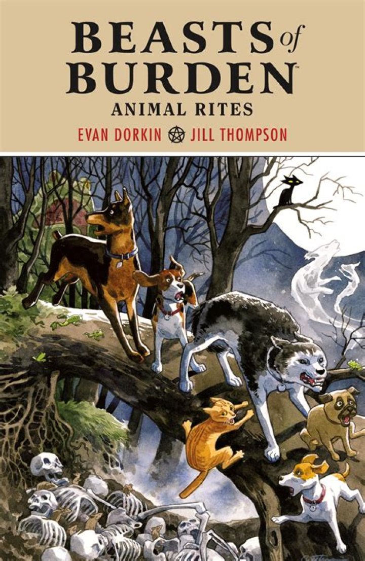 Beasts of burden on a farm