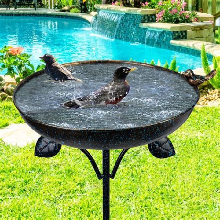 Can a birdbath be too deep?