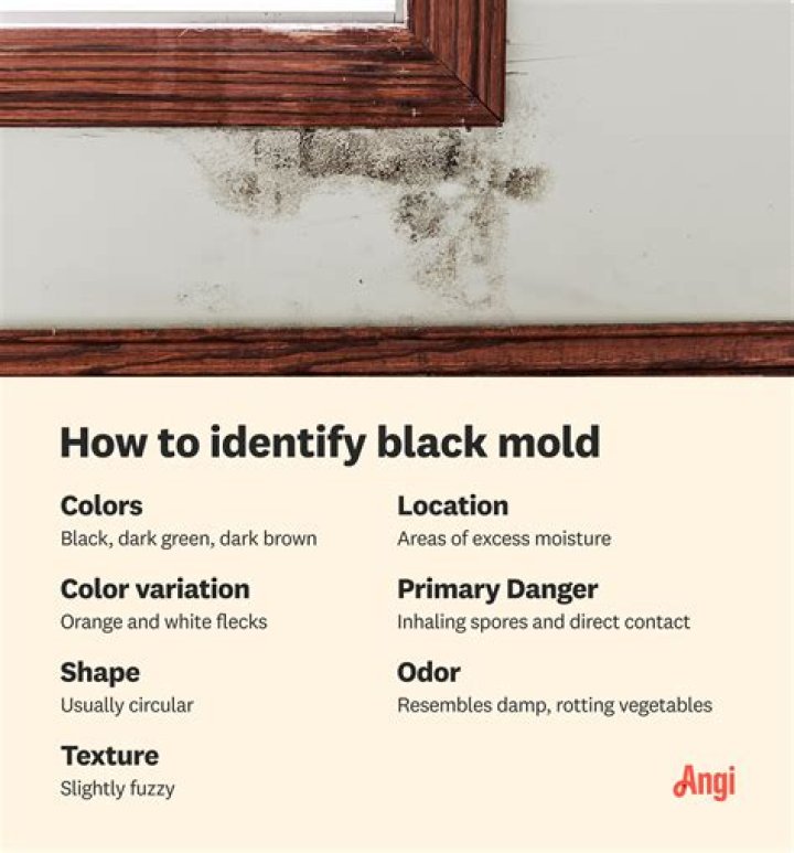Can black mold make your hair fall out?