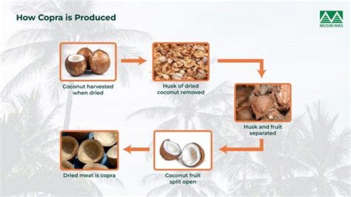 Can coconut oil go in bike chain?