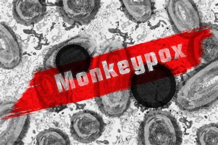 Can dogs get monkeypox?