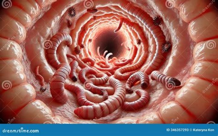 Can fruit worms live in your stomach?
