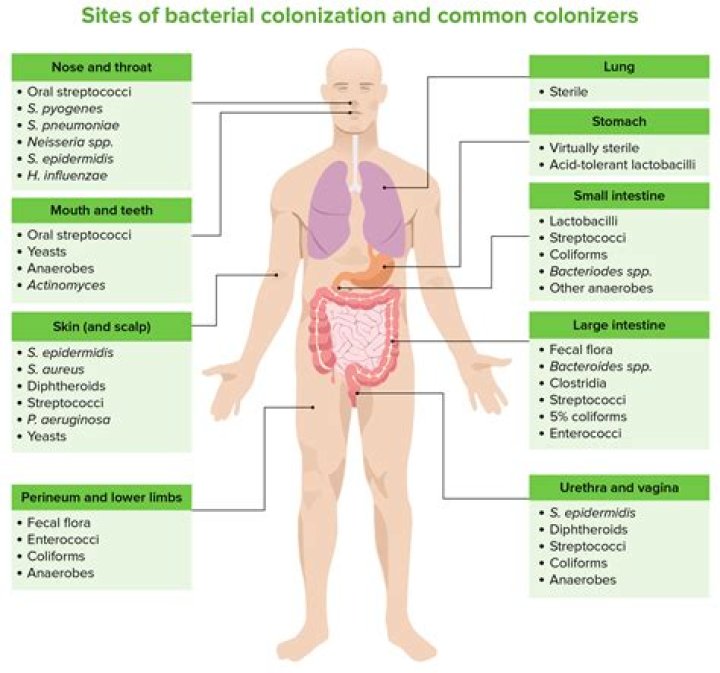 Can mold colonize your body?