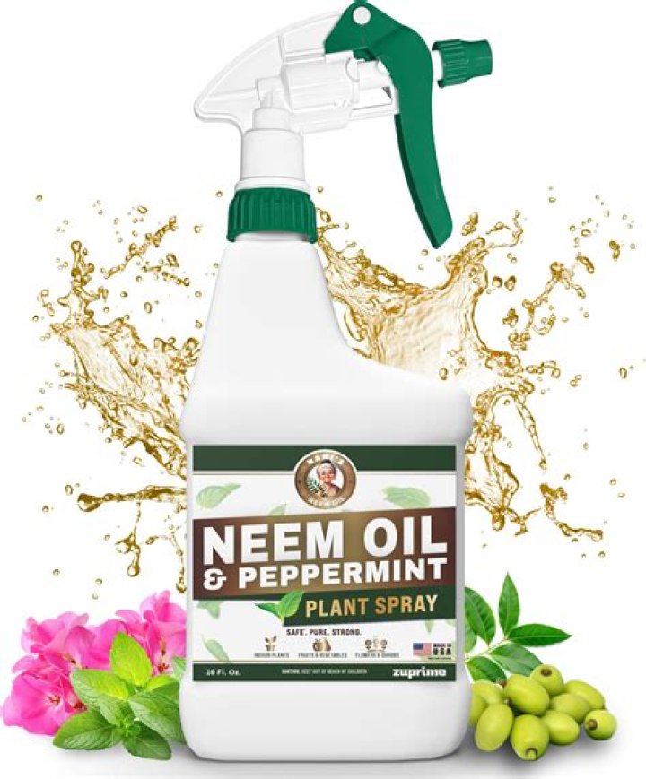 Can neem oil be made at home?