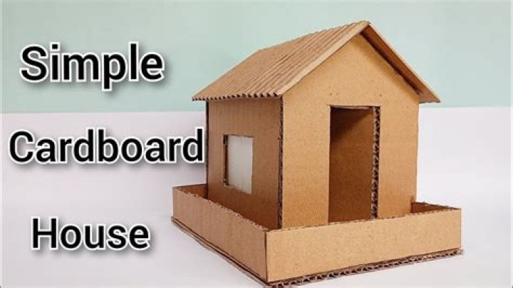 Can worms live off cardboard?
