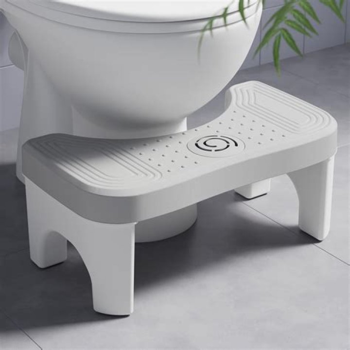 Can you poop in a squat toilet?