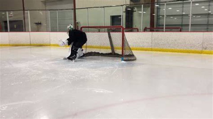 Disks that hockey goalies try to block