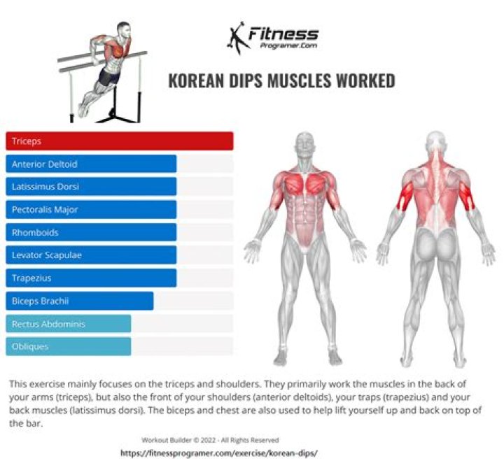 Do dips build big shoulders?