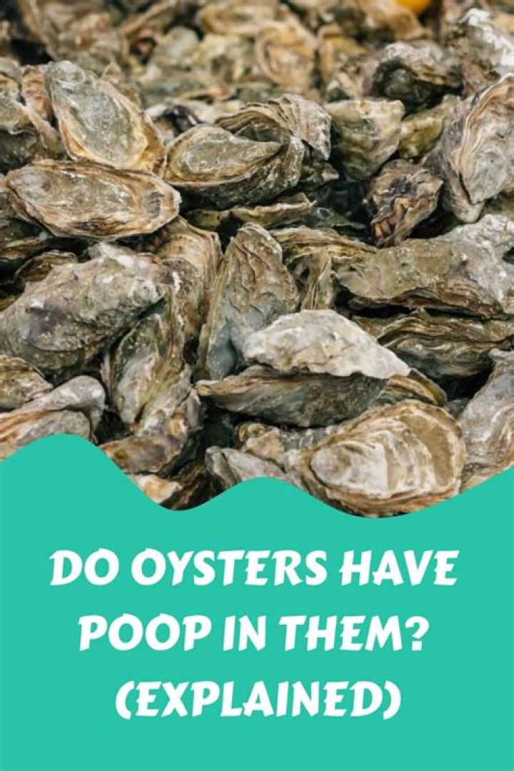 Do oysters have poop in them?
