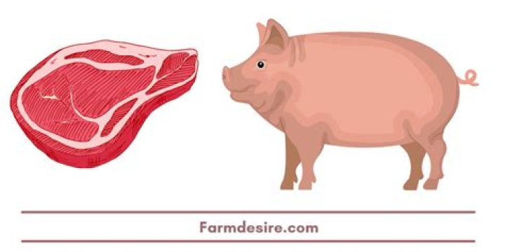 Do pigs eat meat?