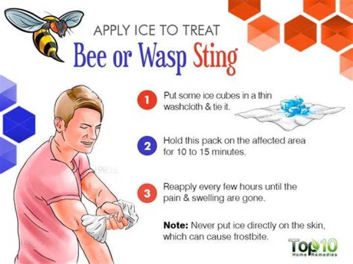 Do wasp stings have any benefits?