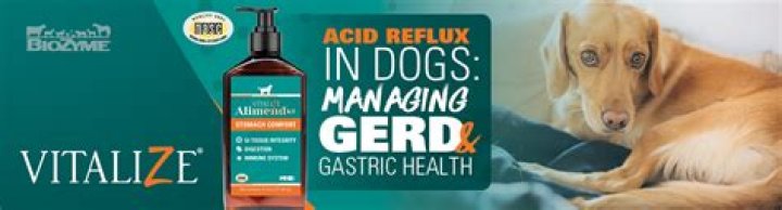 Does coconut oil help acid reflux in dogs?