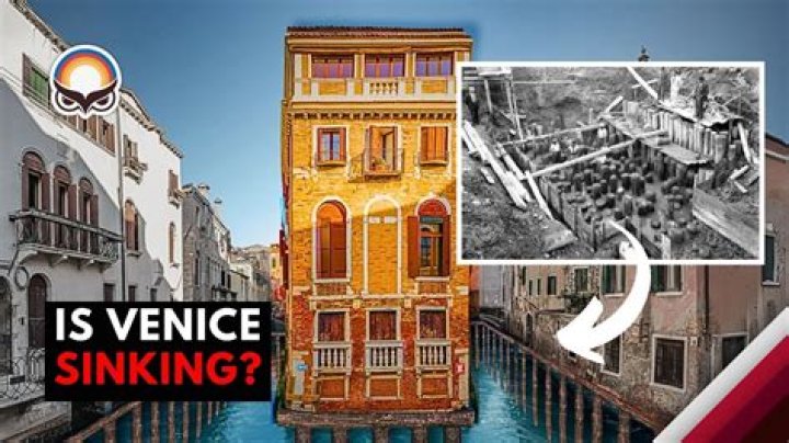 Does Venice Italy have snakes?