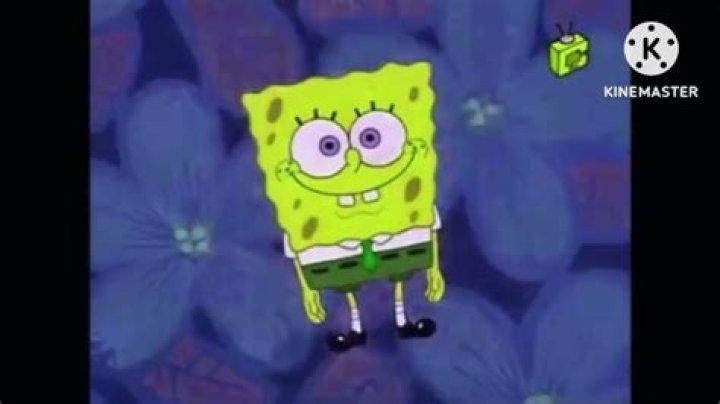 Does watching SpongeBob lower your IQ?
