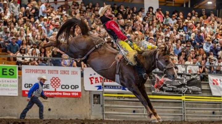 Has there ever been a 100 point bull ride?