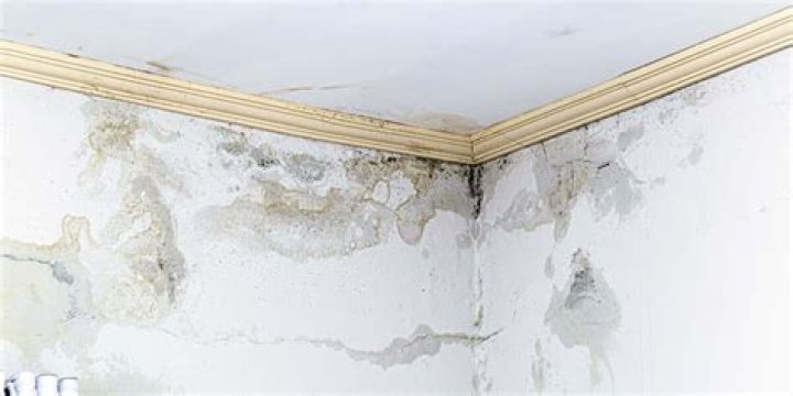How can you tell if drywall has water damage?