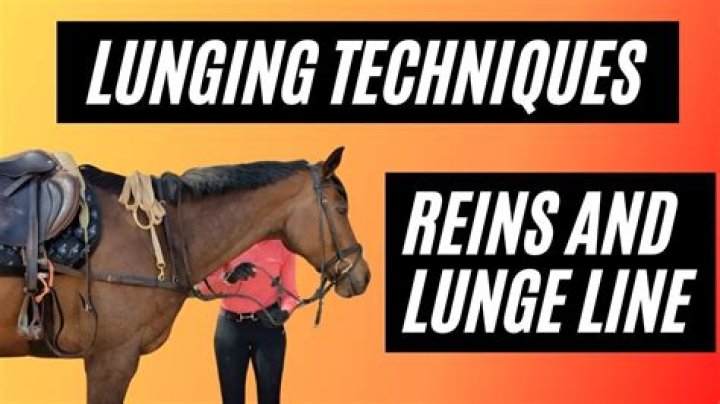 How do I make lunging more interesting?
