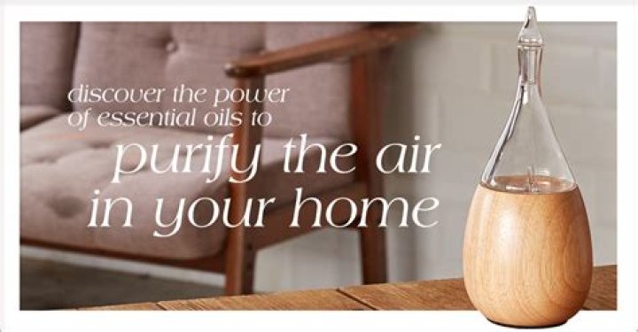 How do I purify the air in my home?