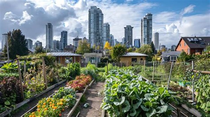 How do I start an urban farming business?
