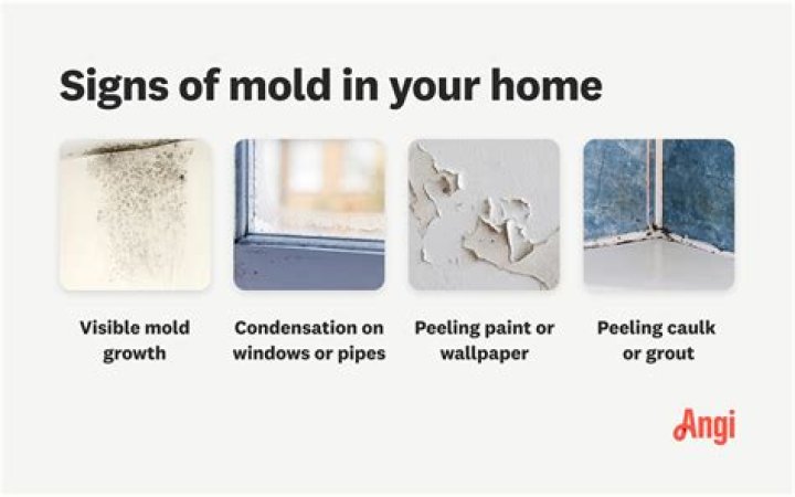 How do you get rid of mold in the air in your house?