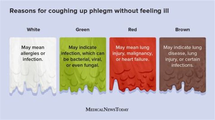 How do you know if you have phlegm in your lungs?