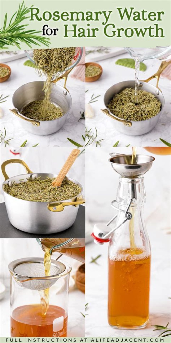 How do you make rosemary grow bigger?