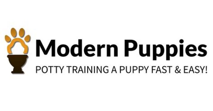 How do you train a puppy to pee outside?