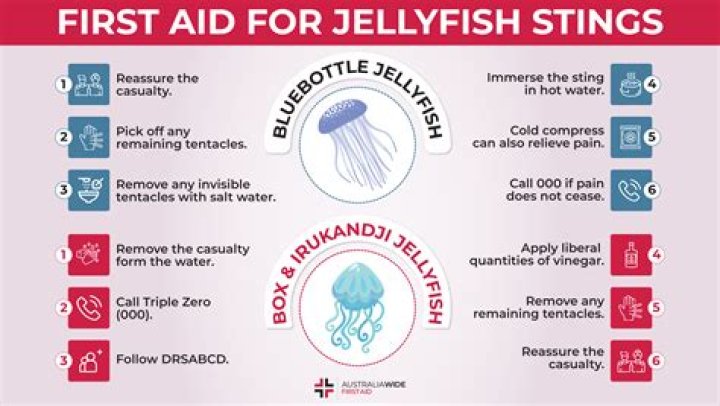 How do you treat an Irukandji bite?