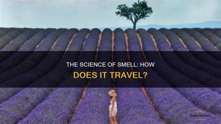 How does smell travel?
