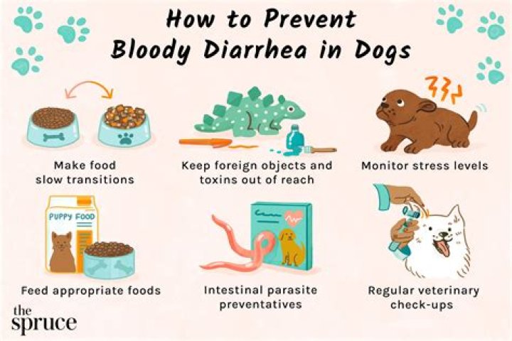 How long do you starve a dog with diarrhea?