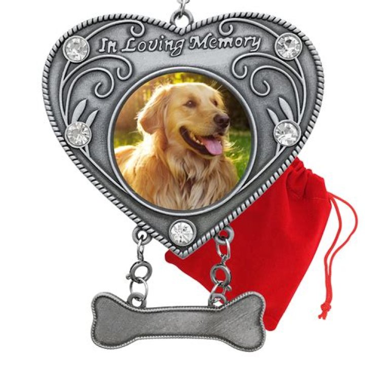 How long is the memory of a dog?