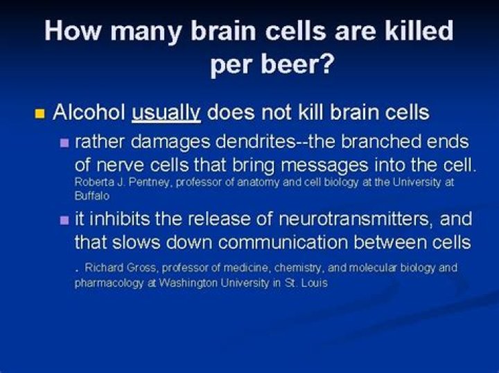 How many brain cells are killed by alcohol?