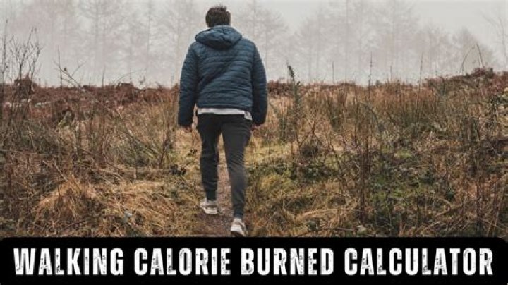 How many burpees does it take to burn off fries?