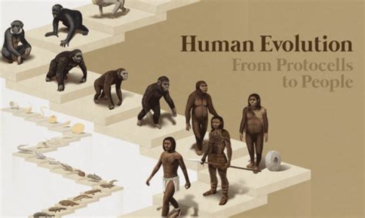 How many planets have humans walked on?