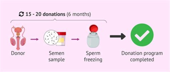 How many times can a man donate sperm?