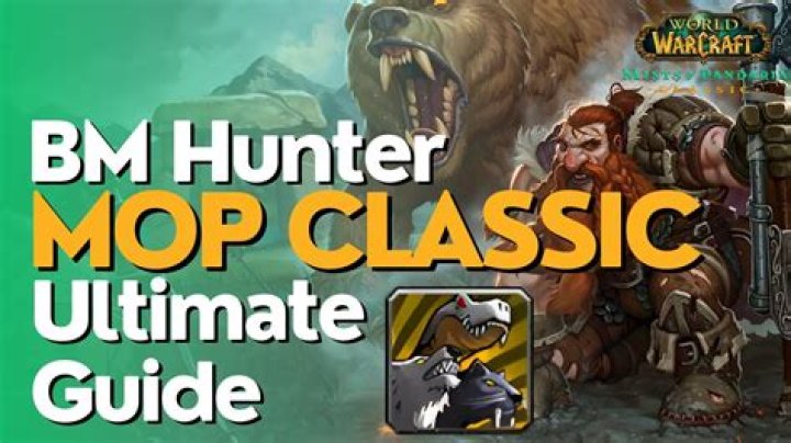 How much haste should a BM hunter have?