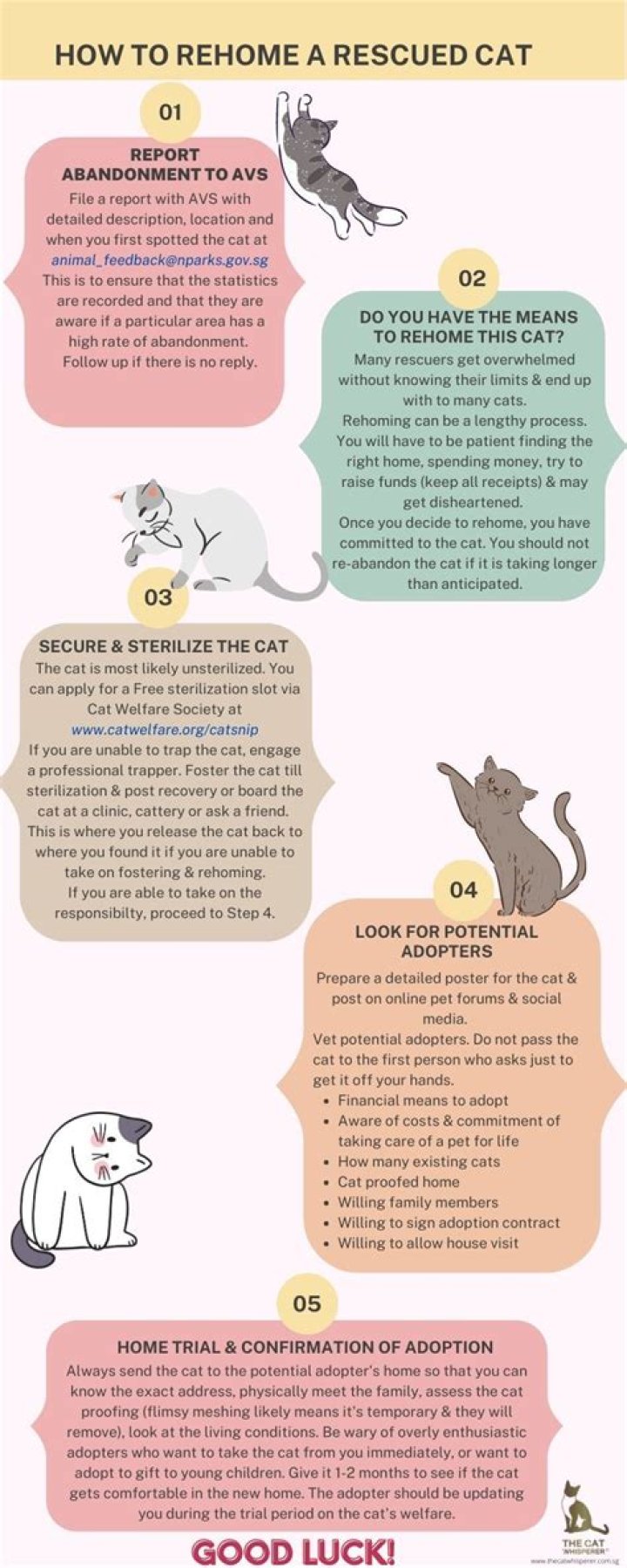 How traumatic is it to rehome a cat?