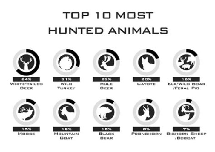 Hunted animal