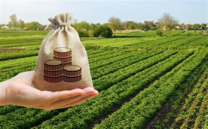 Is agriculture a good investment?