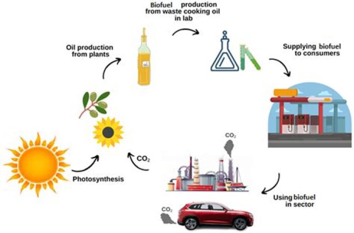 Is biodiesel the future?