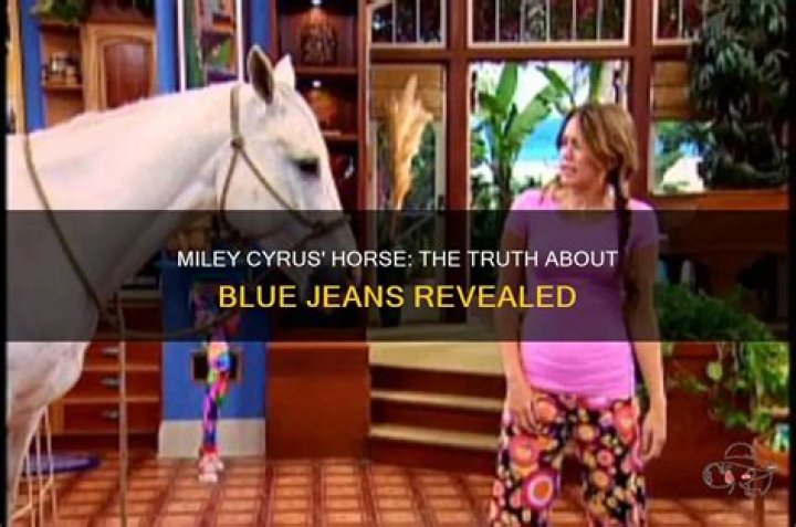 Is Blue Jeans Miley's real horse?