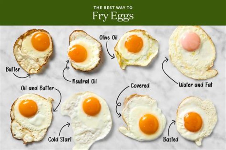 Is it better to fry an egg in butter or oil?