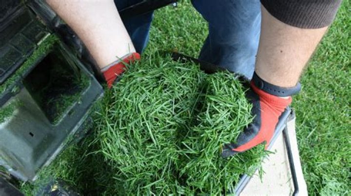 Is it OK to leave grass clippings on lawn?