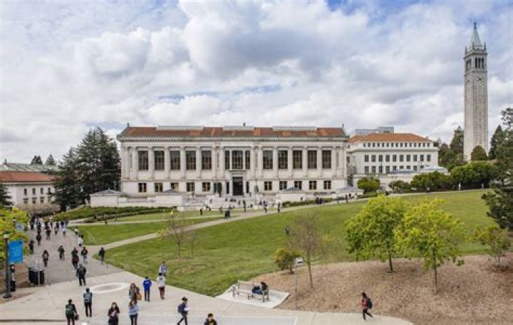Is UC Berkeley good for international students?