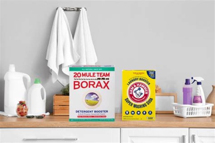 Is washing soda the same as borax?