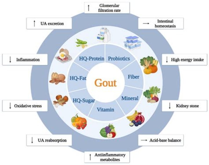 Is yogurt high in uric acid?